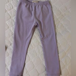 The Beaufort Bonnet Compant Purple Tights